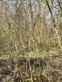 14568 Mt Perry Road - Photo 19