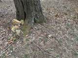  Wood Haven Drive - Photo 13
