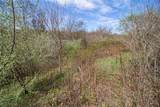 11 acres Whiskey Run - Photo 30