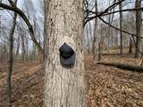  Mulberry Road - Photo 10
