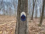  Mulberry Road - Photo 8
