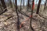  Mercer Road - Photo 17