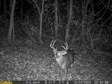 0 Oh-93 - Photo 38