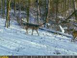 0 Oh-93 - Photo 41