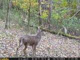 0 Oh-93 - Photo 43