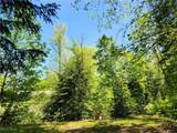 VACANT LAND Brakeman Road - Photo 10