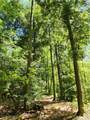 VACANT LAND Brakeman Road - Photo 11
