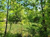 VACANT LAND Brakeman Road - Photo 19
