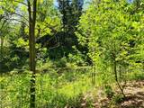 VACANT LAND Brakeman Road - Photo 21