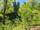 VACANT LAND Brakeman Road - Photo 22