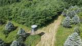 11187 Techniglas Road - Photo 33