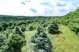 11187 Techniglas Road - Photo 36