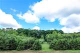 11187 Techniglas Road - Photo 38