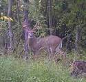  State Route 124 - Photo 44