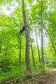  Epler Road - Photo 11