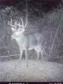  Prider Road - Photo 13