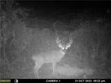  Prider Road - Photo 14