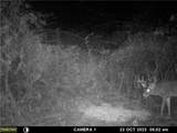  Prider Road - Photo 15