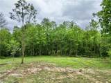 10100 Honda Hills Road - Photo 2