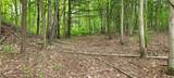  Stockdale Lane - Photo 43