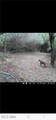 44312 Cream Ridge Road - Photo 34