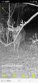 44312 Cream Ridge Road - Photo 43