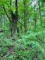 44312 Cream Ridge Road - Photo 44