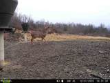 46380 County Road 55 Road - Photo 33