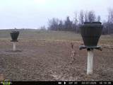 46380 County Road 55 Road - Photo 35