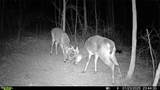 0 Flint Ridge Road - Photo 12