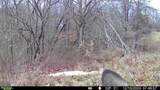 0 Flint Ridge Road - Photo 7