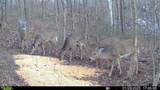 0 Flint Ridge Road - Photo 8