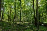 27697 County Road 171 - Photo 45