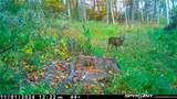 27697 County Road 171 - Photo 5