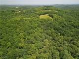 1885 Blue Knob Road - Photo 2