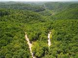 1885 Blue Knob Road - Photo 4