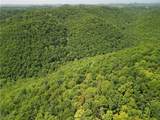 1885 Blue Knob Road - Photo 5