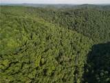 1885 Blue Knob Road - Photo 9