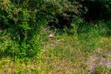  New Cumberland - Photo 4