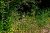  New Cumberland - Photo 5
