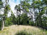 2115 Goss Fork Road - Photo 9