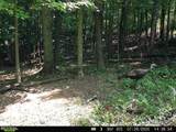 19 acres Saffell Road - Photo 39