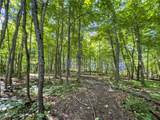 15 acres Saffell Road - Photo 28