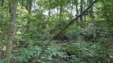  Point Lookout Road - Photo 16
