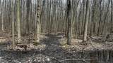 3222 Black Sea Road - Photo 14