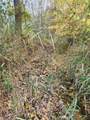 36923 Sugar Ridge Road - Photo 8