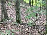  Boggs Fork Road - Photo 15