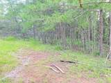  Boggs Fork Road - Photo 16