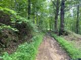 Boggs Fork Road - Photo 2