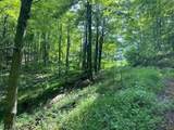  Boggs Fork Road - Photo 3
